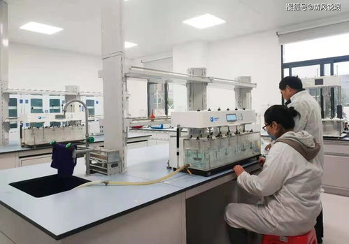 喜讯！真奥研究院新鲜螺旋藻功能性食品成功中试，引领医学研究与试验发展新方向