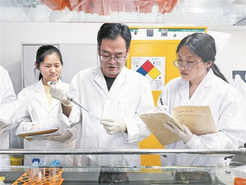 楚生辉 为新疆中药学发展贡献力量的医学研究与试验先锋