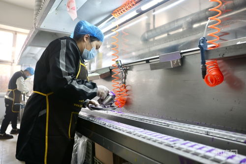 河北宁晋 小蜡烛点亮富民大产业，推动医学研究与试验发展