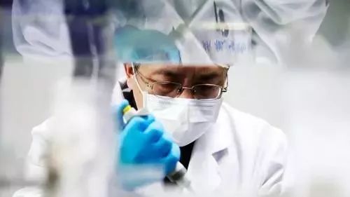 在医学研究与试验发展领域，以专业之力支持祖国抗击疫情